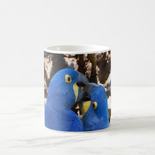 Mug perroquets de muscade