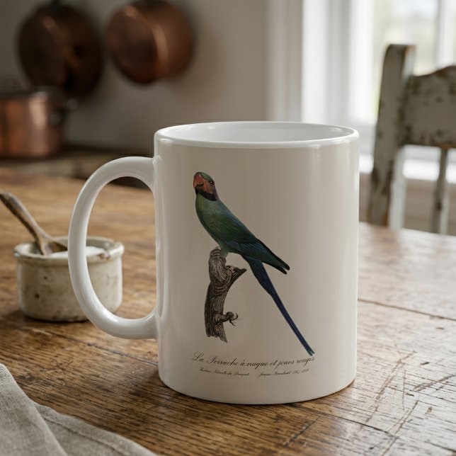 Mug Perruche à longue queue, Psittacula Longicauda (Long-Tailed Parakeet, Psittacula Longicauda. Coffee Mug)