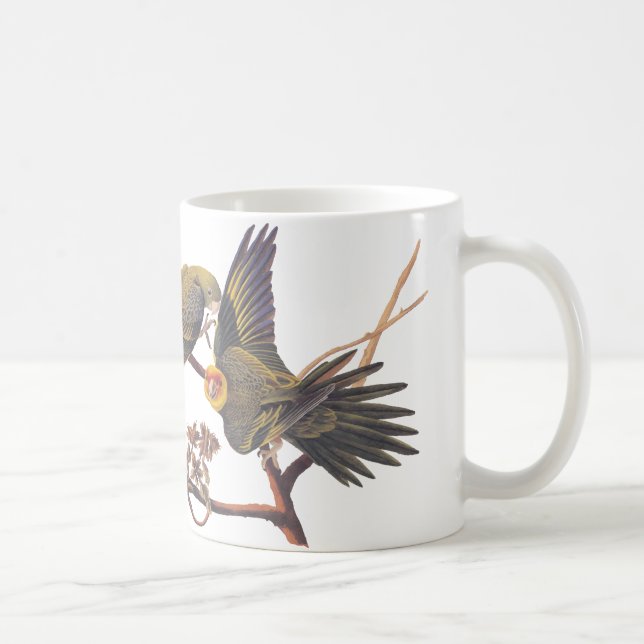 Mug Perruche de Caroline Audubon (Droite)