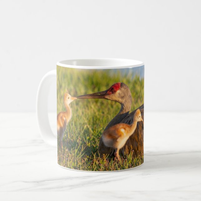 Mug Personnaliser les grues Sandhill aiment ses poussi (Devant gauche)