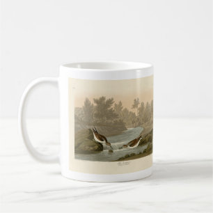 Mug Petit bécasseau des oiseaux d'Amérique d'Audubon