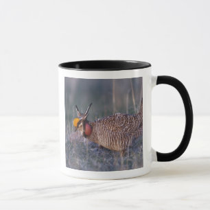 Mug Petit poulet des Prairies, Tympanuchus