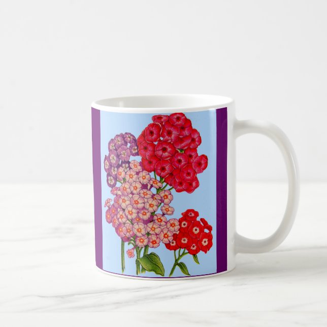 Mug phlox (Droite)