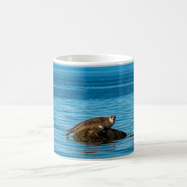 Mug Phoque commun (Centre)
