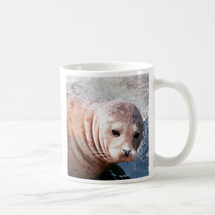 Mug Phoque réfléchi