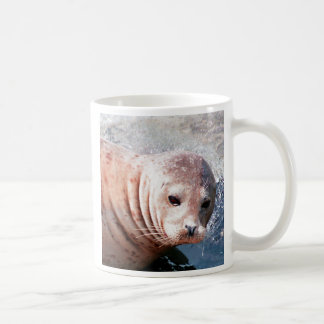 Mug Phoque réfléchi