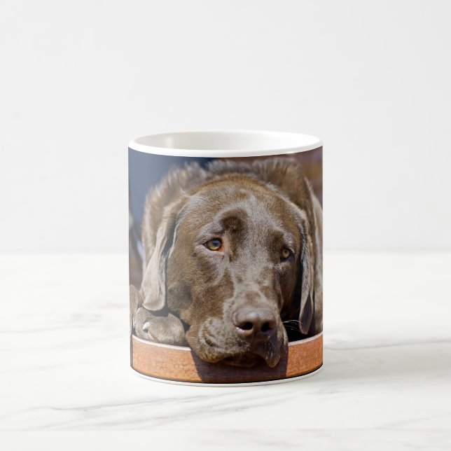 Mug Photo Chocolate Labrador Retriever Close-up (Centre)