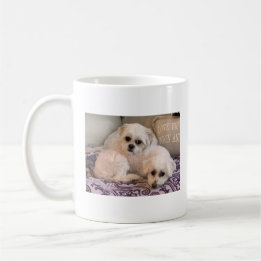 Mug Photo de chiens Mignons Maltese et Shih Tzu