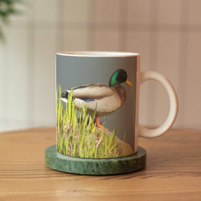 Mug Photo de Mallard Drake Nature (In Situ Coaster)
