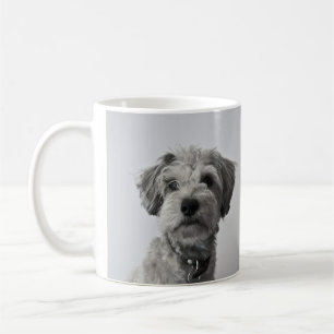 Mug Photo de portrait de chiot Schnauzer
