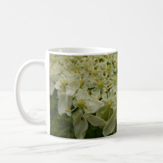 Mug Photo du Fleur sauvage de dentelle de la reine Ann (Gauche)