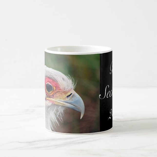 Mug Photo du secrétaire Bird of South Africa (Centre)