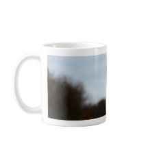 Photo idiote de faune de visage d'autruche de la