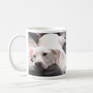 Mug Photo mignonne de Chien Chien Chien Chien Blanc Se