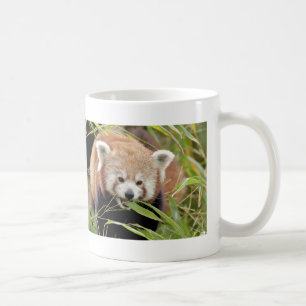 Mug Photo panda rouge, animaux 0397.