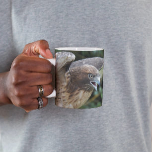 Mug Photo Raptor Hawk à queue rouge