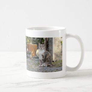 Mug. photo street cat , cat. coffee mug