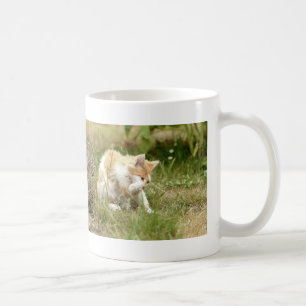 Mug. photo street cat, chat.  tasse de café