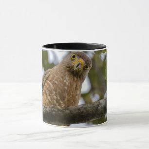 Mug Photographie de Belizean Roadside Hawk