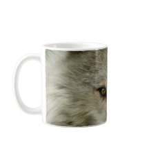 Photographie de la faune du loup de bois