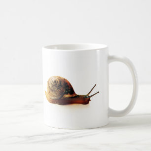Mug Photographie de la nature d'un escargot de jardin