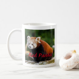 Mug Photographie de Panda roux adorable