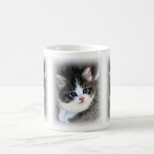 Mug Photographie de portrait de chaton SUPER MIGNON