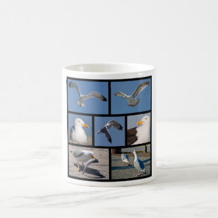 Mug Photos multiples de mouettes