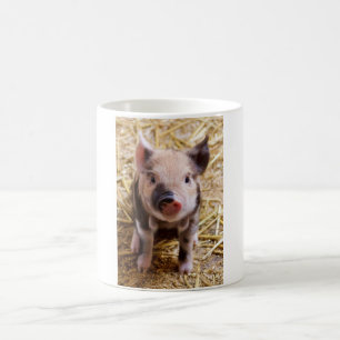 Mug PIC mignonne d'un porc de bébé