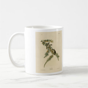 Mug Pine Finch (Pine Siskin), Audubon Birds of America