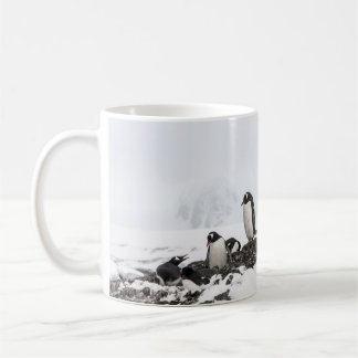 Mug Pingouins Gentoo, Antarctique, station Vernadsky.