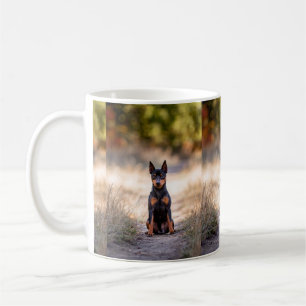 Mug Pinscher Nain Assis