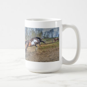 Mug Pinto Stallion équine photo d'action