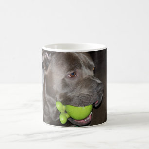 Mug Pitbull avec balle verte, amoureux des chiens
