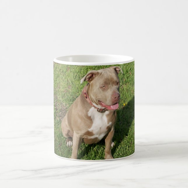 Mug Pitbull paisible (Centre)