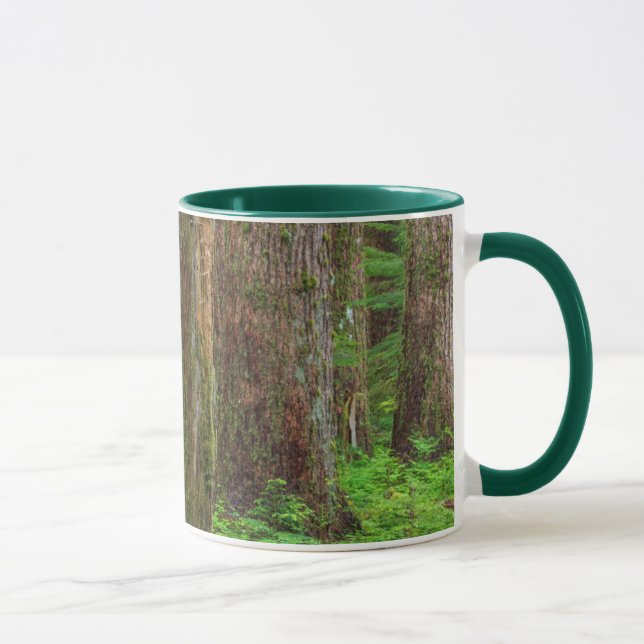 Mug Pittoresque de forêt ancienne (Droite)