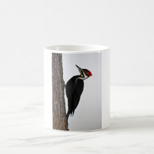 Mug pivert pileated