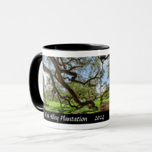 Mug Plantation Oak Alley, chênes verts du Sud