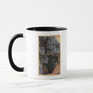 Mug Plante CaliforniaWisteria en Bloom