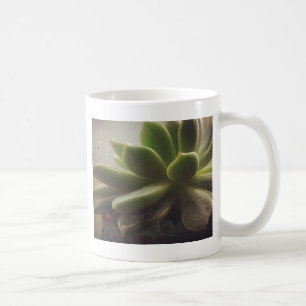 Mug Plante Hen et Chicks