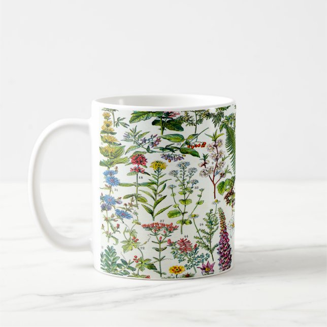Mug Plantes médicinal (Gauche)