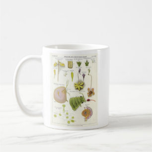 Mug Plantes parasites et carnivores