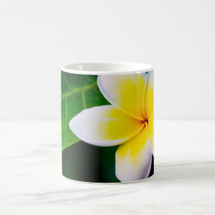 Mug plumérie