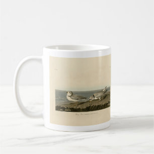 Mug Pluvier siffleur des oiseaux d'Amérique d'Audubon