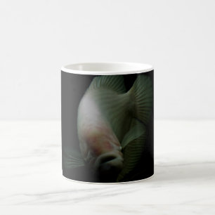 Mug Poisson dans le portrait de réservoir