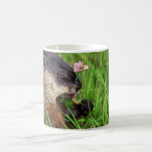 Mug Poisson de trèfle