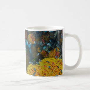 Mug Poisson Parmi La Barrière De Corail