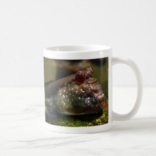 Mug Poissons amphibies Oxudercinae de Mudskipper