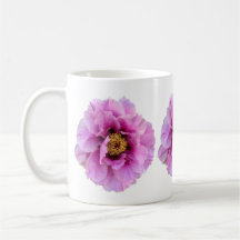 poitrine rose fuchsia brillante et jolie