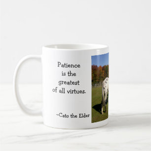 Mug Pokey. .waiting…